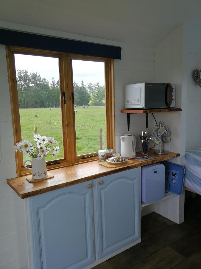 Luxury tent Sunny Mount Shepherd's Hut *