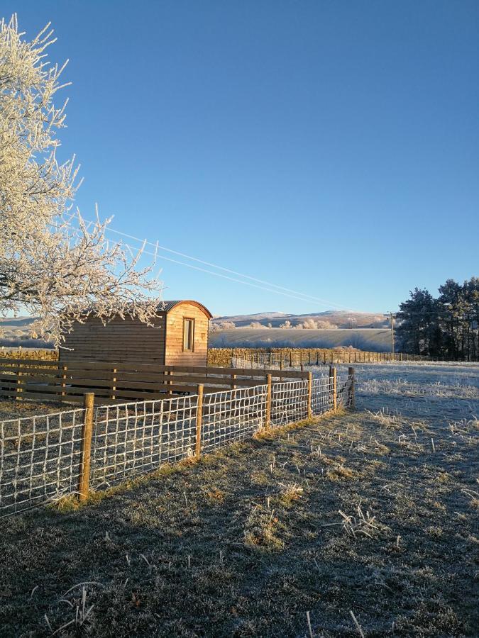 Sunny Mount Shepherd's Hut Luxury tent Long Marton