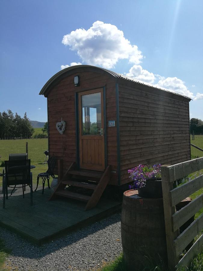 Sunny Mount Shepherd's Hut *