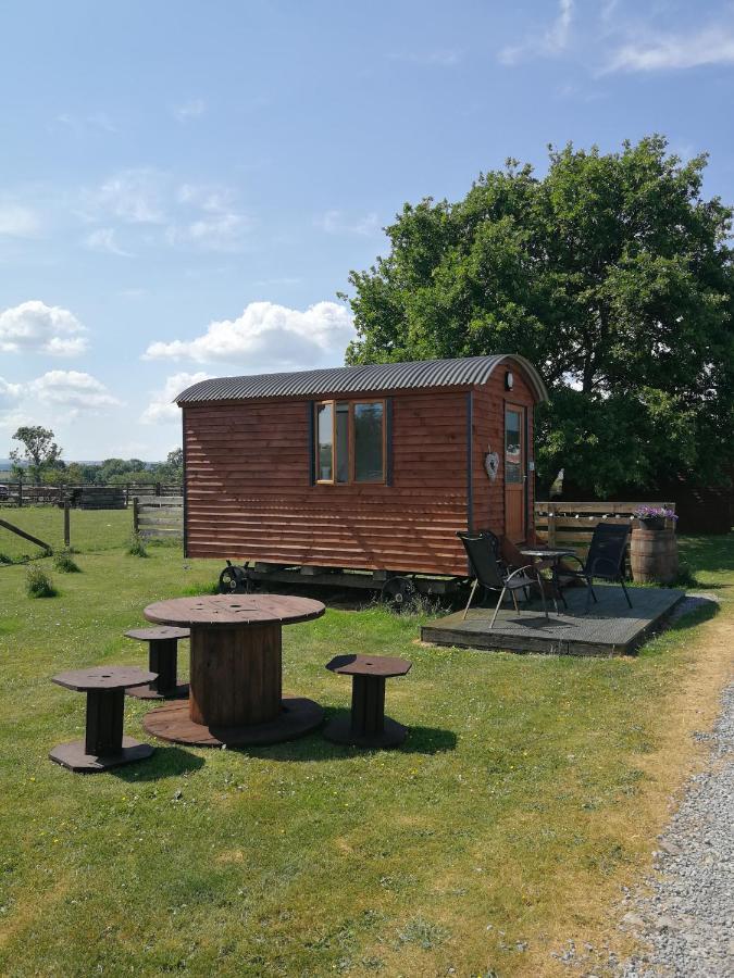Luxury tent Sunny Mount Shepherd's Hut Long Marton