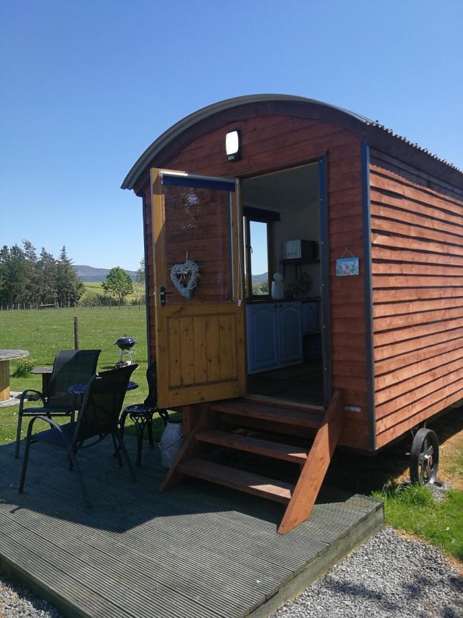 Sunny Mount Shepherd's Hut *
