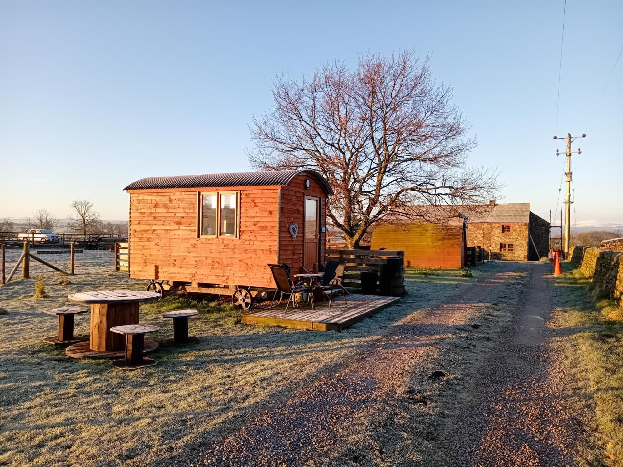 Luxury tent Sunny Mount Shepherd's Hut